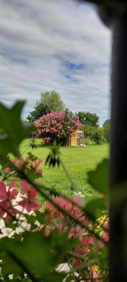 Corte Ventaglio Campitello  Zewnętrze zdjęcie